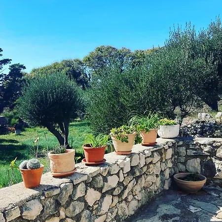 Villa Roseal Povljana Exterior foto