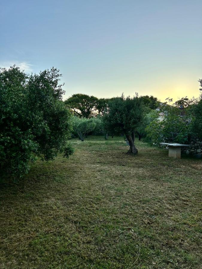 Appartement Roseal