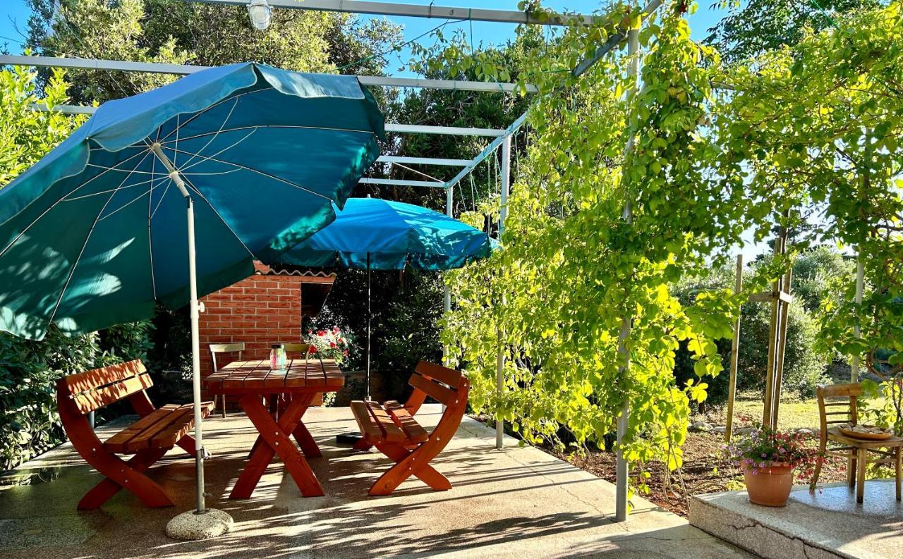 Apartment Roseal Povljana